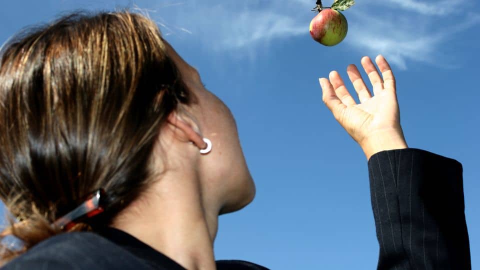 A business woman picking an apple